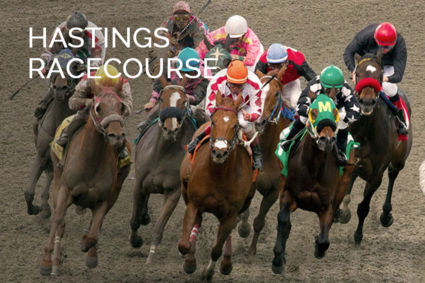 hastings racecourse hastings racecourse